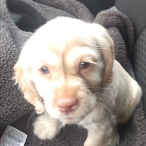 Meet your Posher, Christina